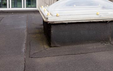 disadvantages of Ty Isaf flat roofs